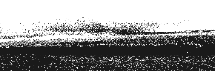 A dense band of red-winged blackbirds along the horizon, its top edge rolling